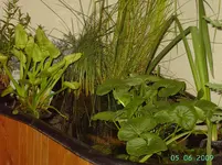 PICT2582.webp