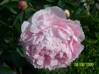 100_1804.webp