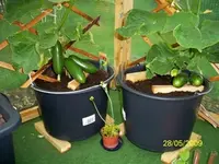 100_1038.webp