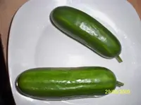 100_1066.webp