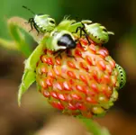 DSC06846_2.webp