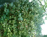 Bild001.webp