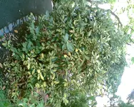 Bild003.webp