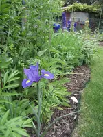 garten 09 006.webp