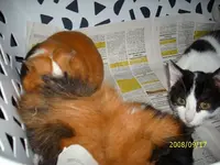 zu 3..webp