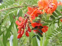 PICT0013.webp
