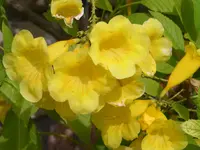 PICT0042.webp