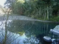Riverview.webp