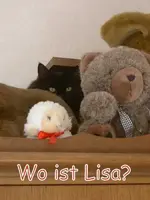 auf dem Schrank v.webp