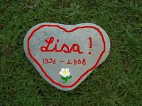 Lisaherz.webp