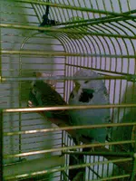 Bild018.webp