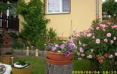 bild 2.webp
