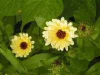 PICT0189.webp