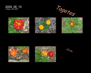 2009_06_10.webp