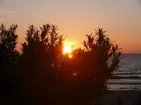 P1060558_600_450.webp