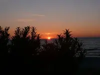 P1060565_600_450.webp