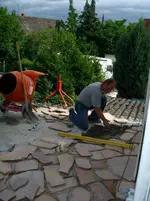CIMG2451.webp