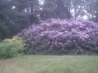 PIC00860.webp