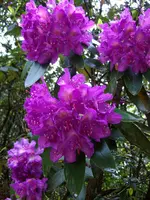 ALIM0223.webp