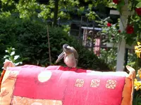 11883.webp
