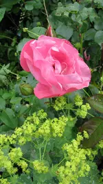jun5.webp