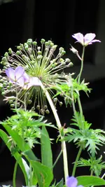 jun7.webp