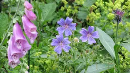 jun9 (2).webp