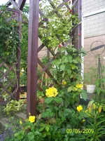 100_1806.webp