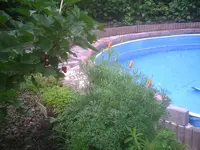 Pool1.webp