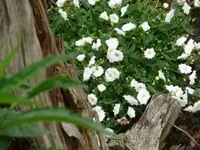 P1060608_400_300.webp