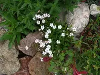 P1060595_400_300.webp