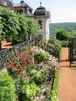 Schlösser dornburg1.webp