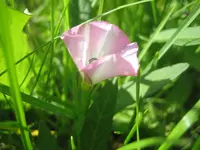 20080613_5737.webp