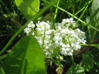 20080613_5744.webp