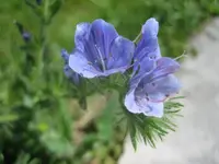 20080702_5886.webp