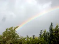 regenbogen-11 juni2009.webp