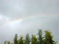 regenbogen-02.webp