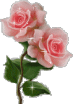 Blume085[1].gif