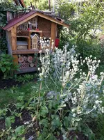2014-07-12 Dekorations- wechsel.webp