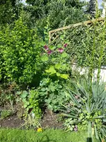 2014-07-12 Umrüstung für Sommer.webp