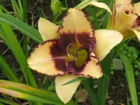 ab unbekannt_1024x768.webp