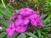 034_1024x768.webp