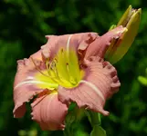 vornebeio.webp