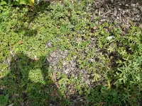 k-P1070969.webp