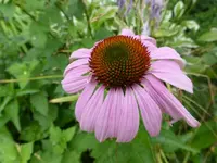 P1140100.webp