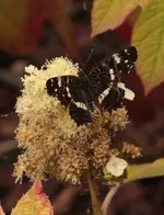 Landkaertchen 140715.webp