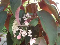 SAM_4957.webp