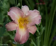 IMG_3152.webp