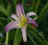 IMG_3154.webp