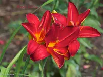 IMG_3161.webp